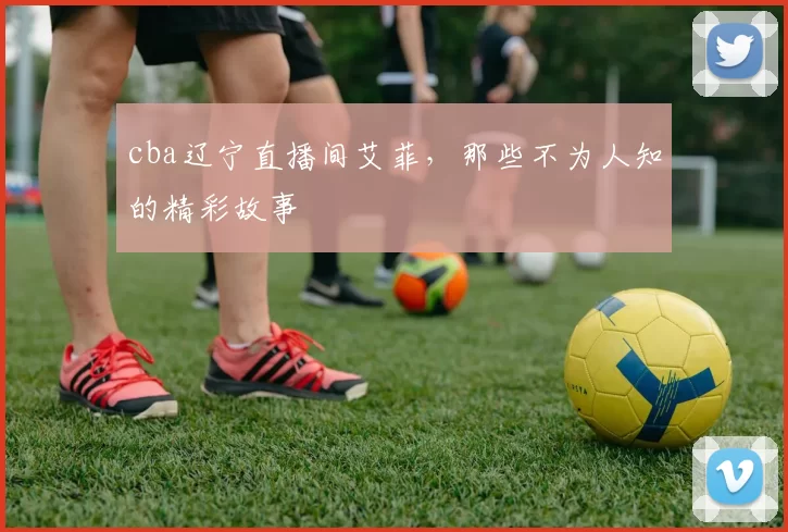 cba辽宁直播间艾菲，那些不为人知的精彩故事