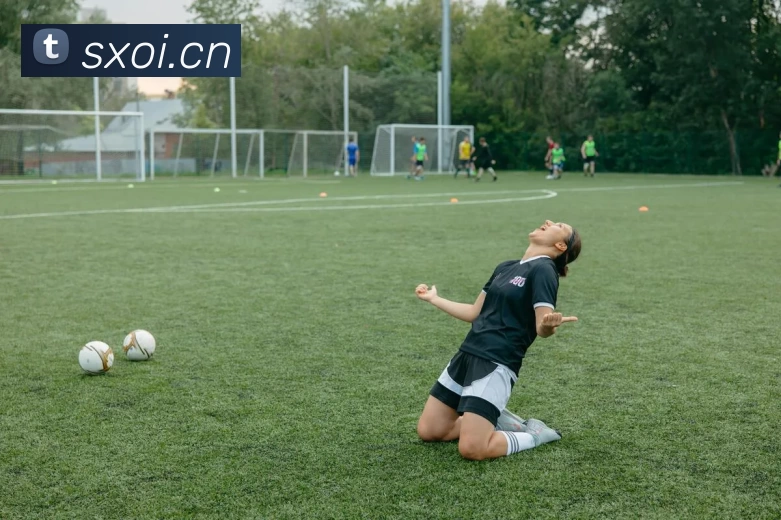 多媒体互动体验